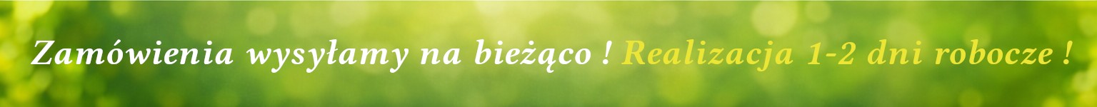 Byliny sprzedaż wysyłkowa - sklep internetowy z bylinami i trawami ozdobnymi