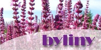 byliny - sklep internetowy